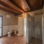 Sui Tetti Di Harbour *